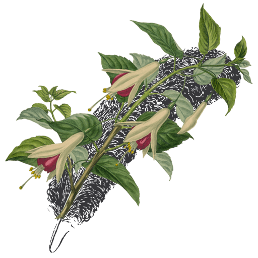 Bestselling Author Rachel Brimble: Inspiration, Empowerment and Romance... One Book at a Time